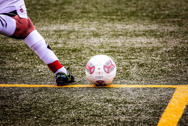 也吸引了大 也吸引了大