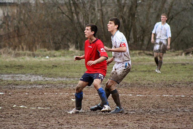 总的来说 总的来说