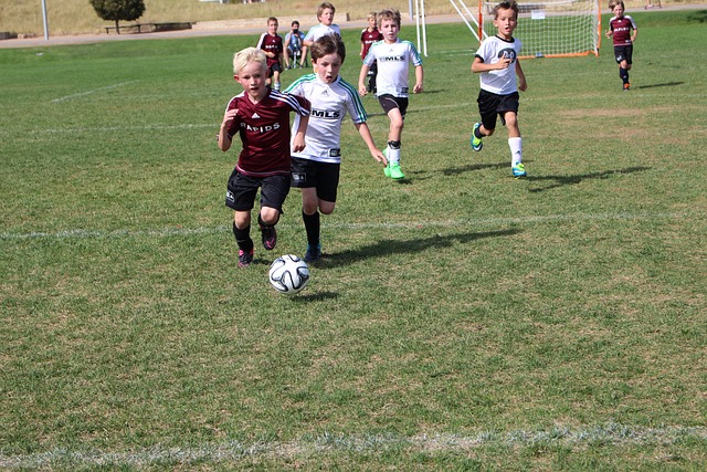 切的焦点 切的焦点