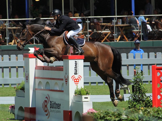 无论是替补 无论是替补