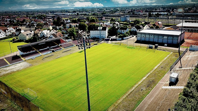 队的未来赛 队的未来赛